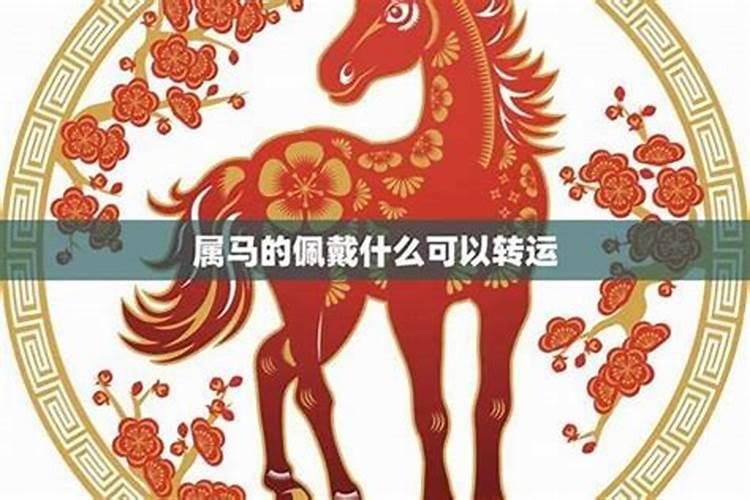 骏马奔腾：揭秘属马生肖的奥秘