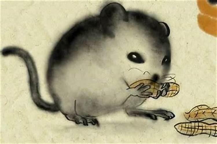 一九八四年属鼠什么命