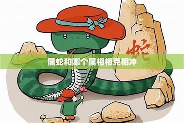 蛇影绕梁：揭秘属蛇与相冲相克的神秘面纱