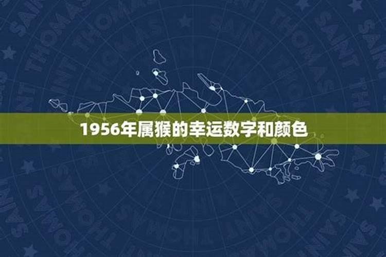 揭秘1956年属猴人的幸运数字：神秘力量的探索之旅