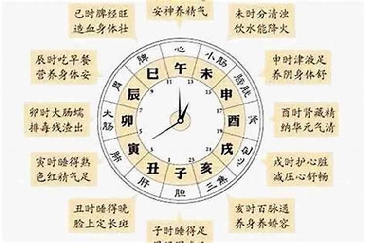 探究属相划分的历法之谜