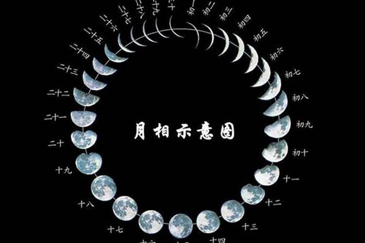 探究农历11月11日出生之人的命运奥秘