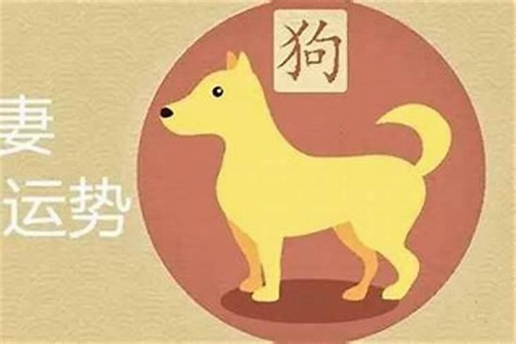 生肖配对八字配对哪个准？