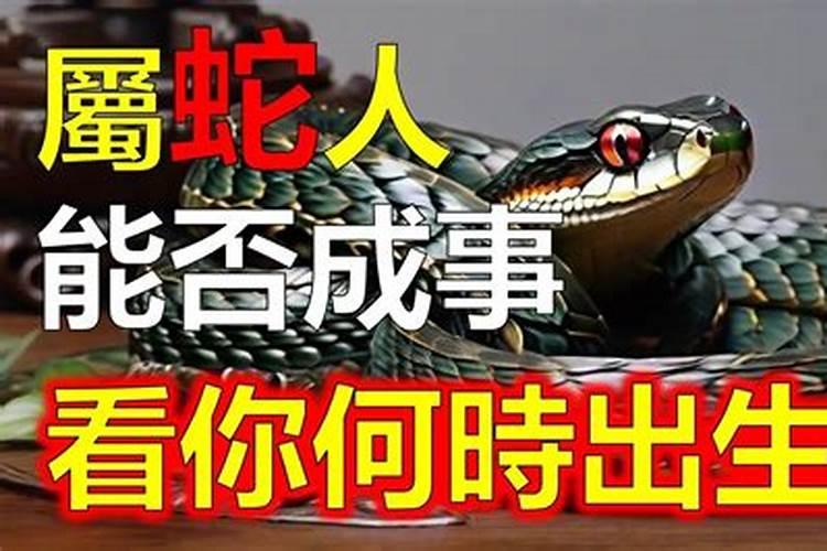 魅力生肖：揭秘属蛇女性的迷人之处