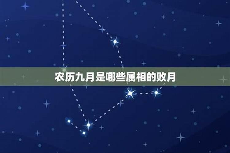 属相败月分别是几月？
