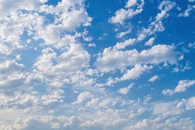 梦境交织的奇观：梦见蟒蛇吞噬同类的深层解析