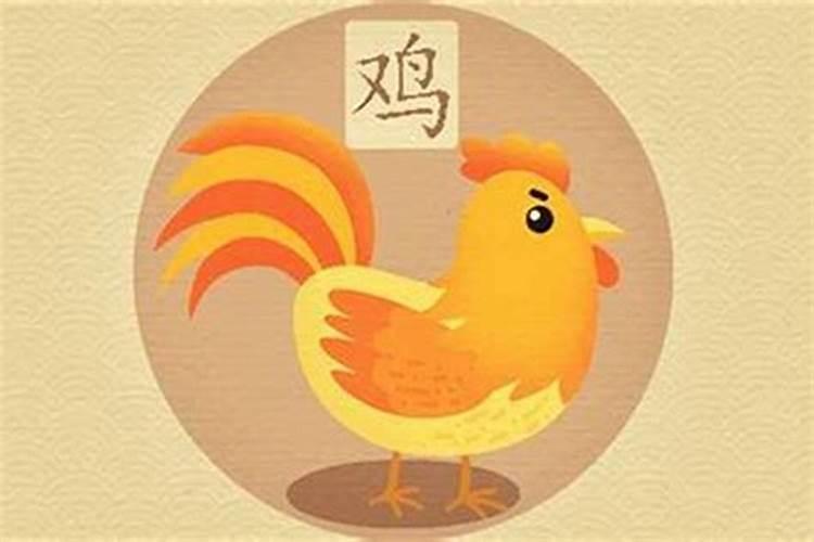 鸡年出生的人命运如何？