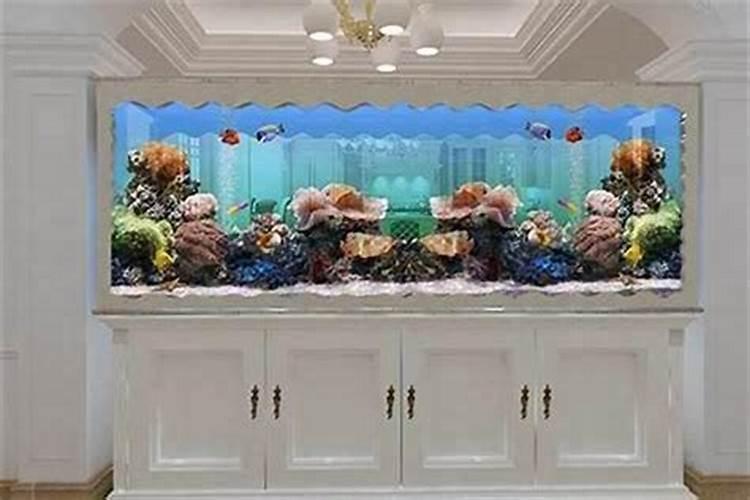 鱼缸与风水轮：探讨家居风水的奥秘