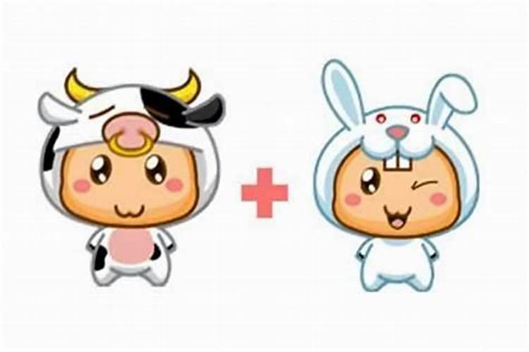 牛和兔子是一个属吗？牛和兔子在一起谁吃亏？