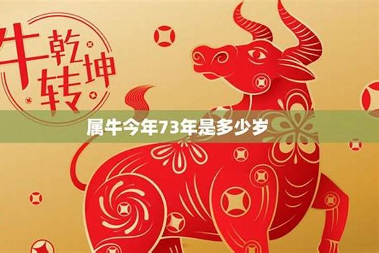 属牛今年几岁？揭秘属牛人的年龄与命运