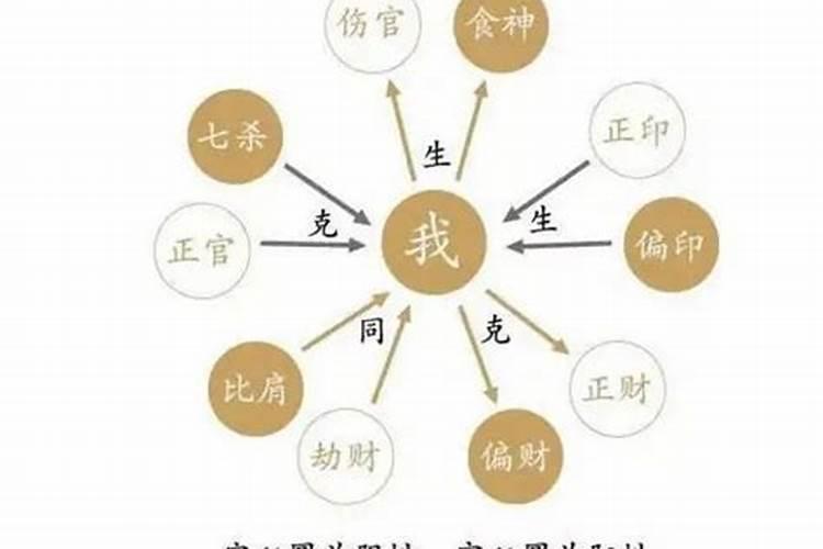 命理探秘：十神论命的科学与艺术