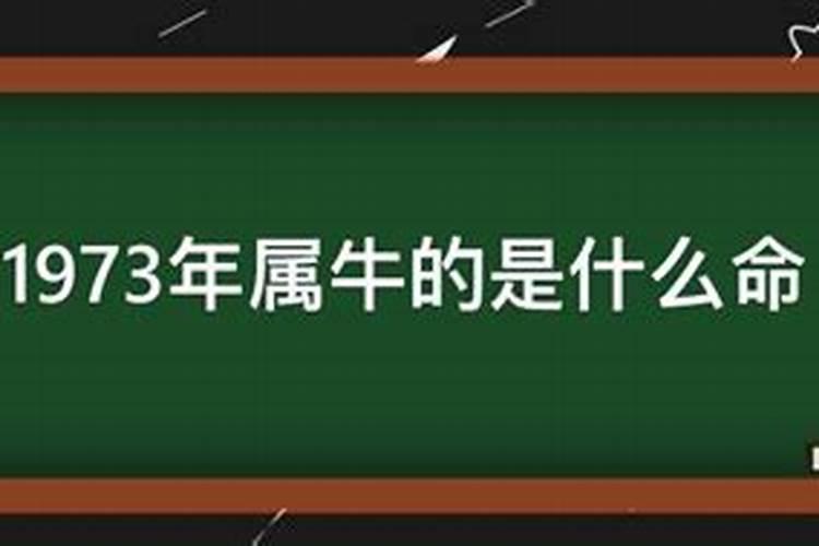 1973年什么命？