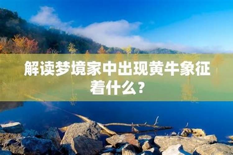 梦境中的黄牛：攻击的象征与心理解读