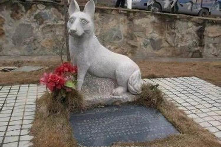 梦见死狗是什么预兆解梦？