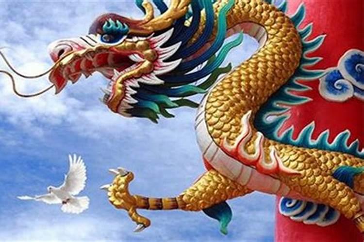 1964年的龙是什么命