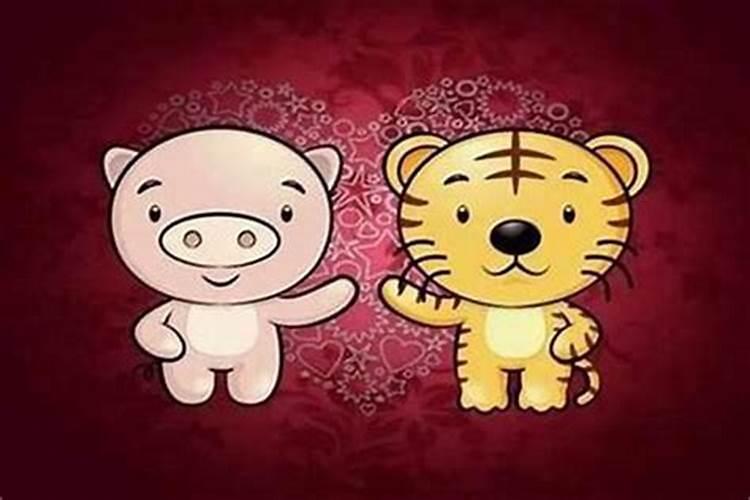 属虎家庭的宝宝选择：生肖、星座与个性的完美搭配