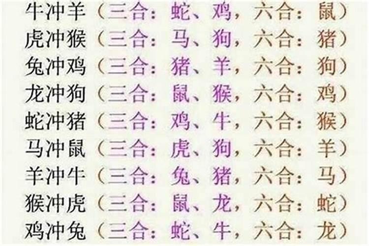 龙羊配：天作之合还是相冲之局？