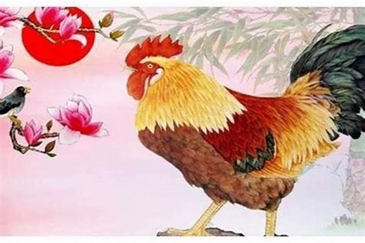 属鸡今日的运气和财运怎么样？