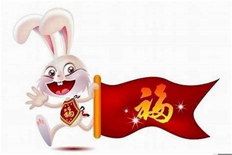 请问属兔的人今年太运势怎么样？