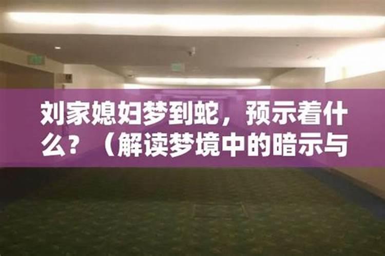梦境与心绪：解读梦见老家有蛇的深层含义