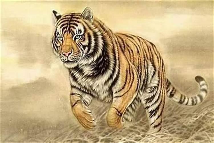 属虎今年适合带貔貅吗？解析生肖与吉祥物搭配的奥秘