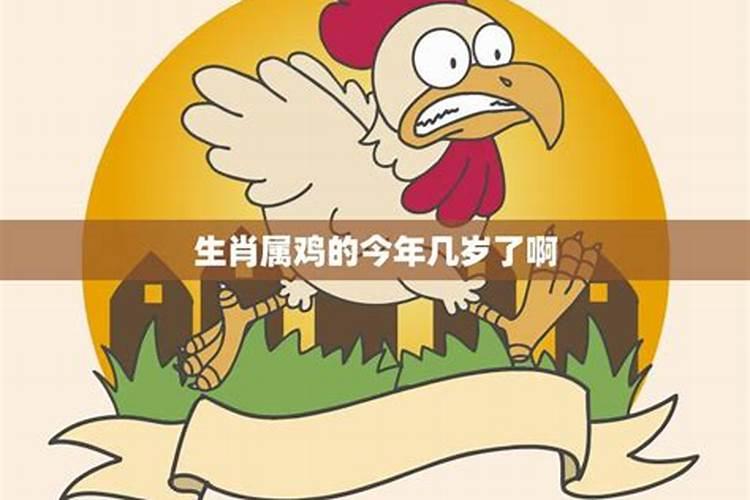 属鸡的今年家庭怎么样？——解读2025年家庭运势
