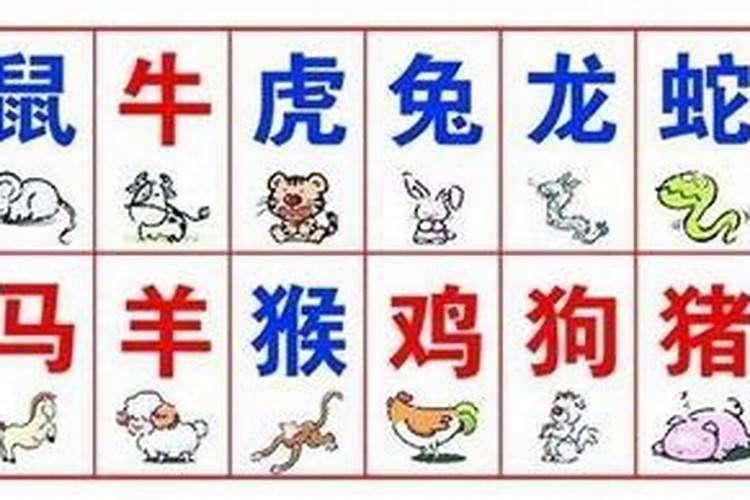 属相分大属相小属相吗？揭秘十二生肖的秘密
