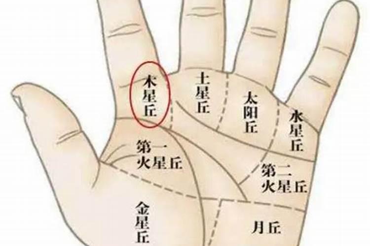 掌中纹路，命运何去：男人右手断掌的命理探秘