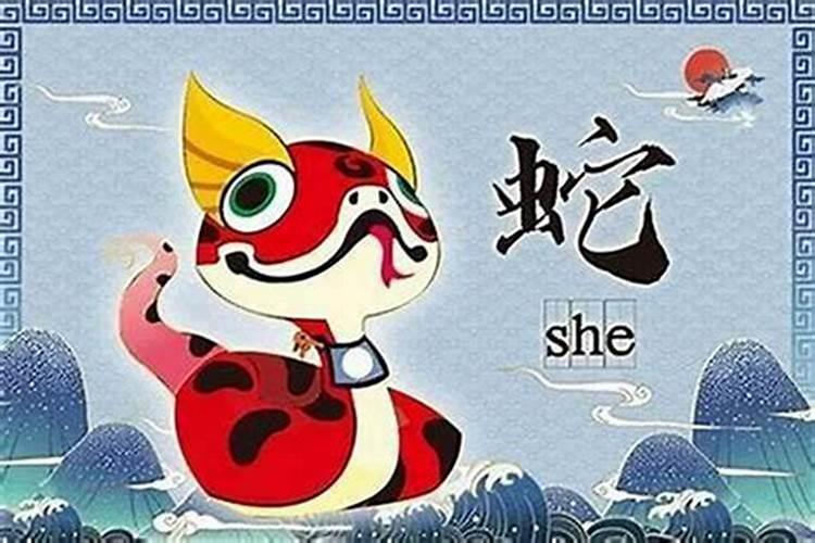 属蛇和属羊选几楼好？——风水与生肖的奇妙结合