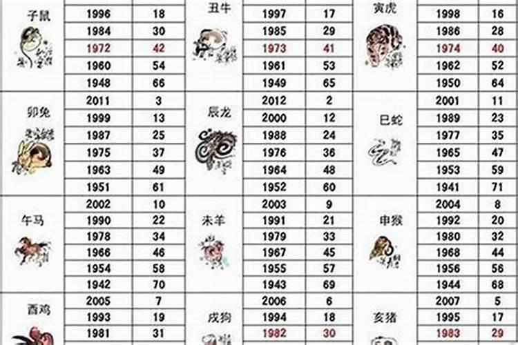 探究生肖相配：95属猪与94属狗的天作之合？