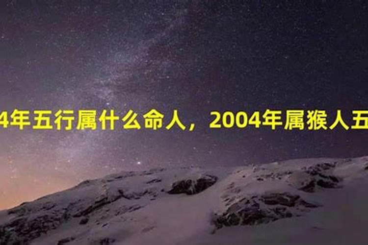 2004年是什么命年？