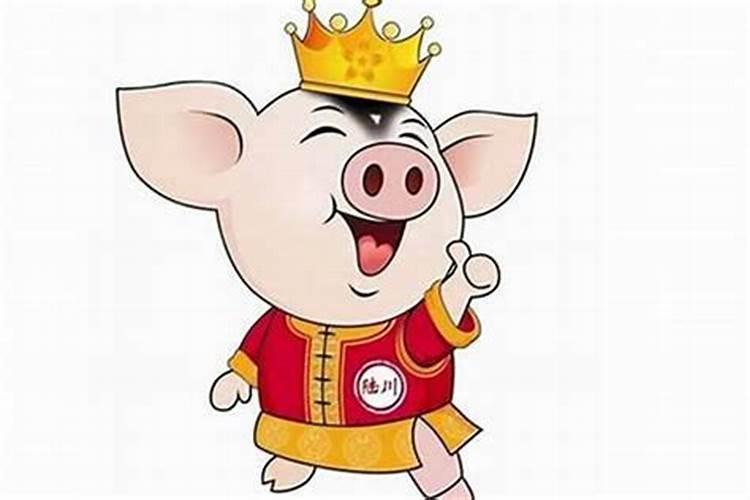 属鼠生属猪：生肖相合的亲子之道