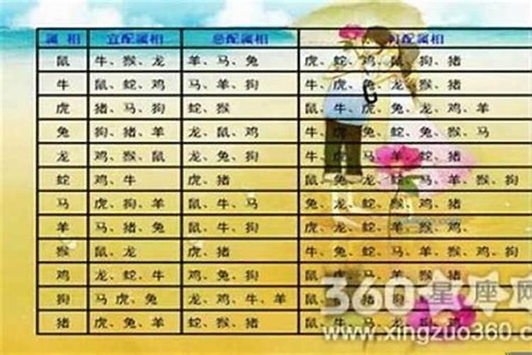 属牛女的最怕什么样的人：揭秘她们心中的忌讳？