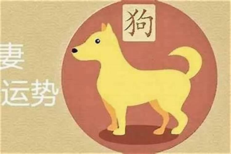 属狗人的婚姻良缘：寻找最佳属相匹配
