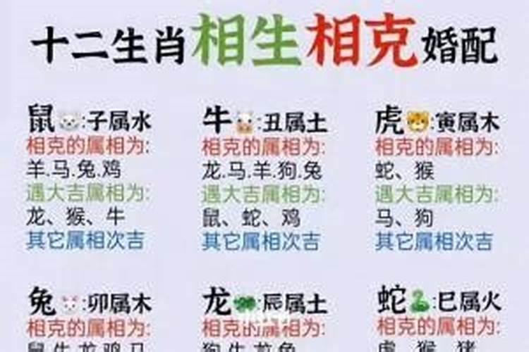 家里四口人四个属相好吗？