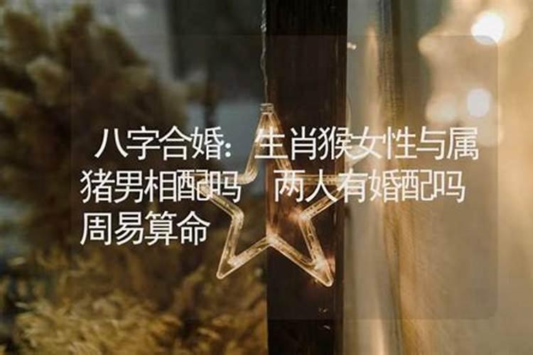 易经有属相婚配的吗？