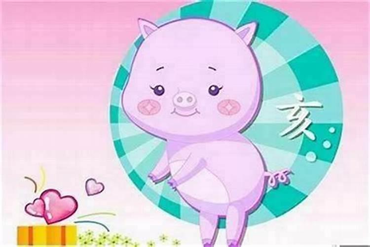 属猪的男与女：相克还是相合？