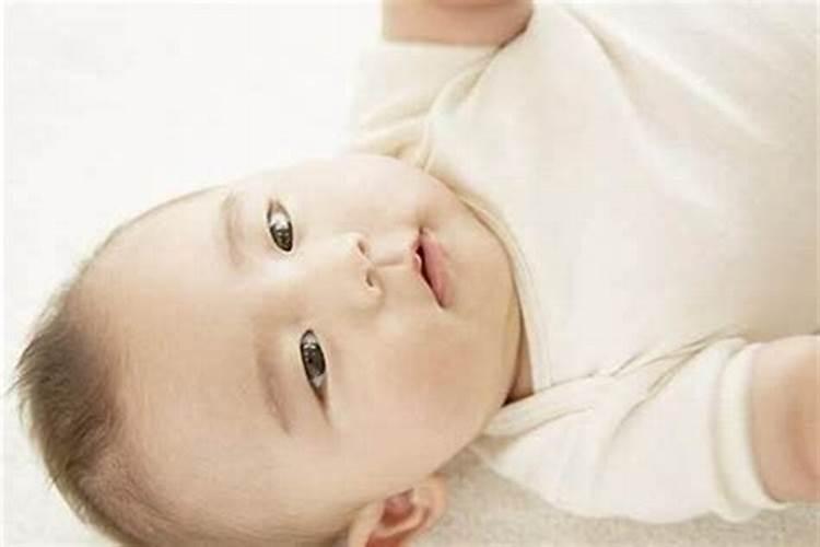 哪个属相的宝宝好最好养活？
