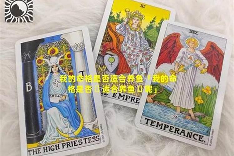 什么属相适合养鱼呢？