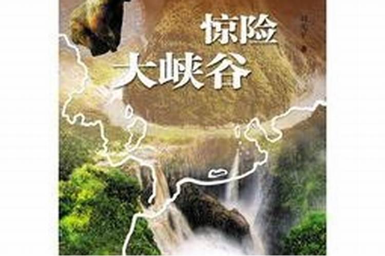 风水轮回：探索自然与人类命运的周期性律动