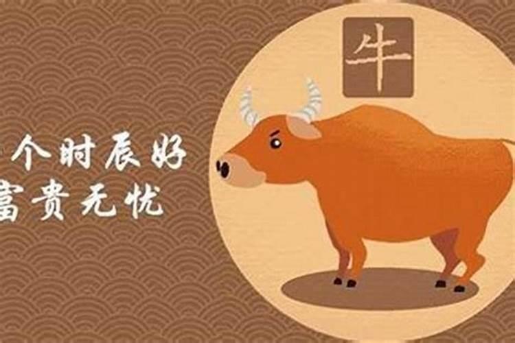 巳时出生哪个属相最好女孩？