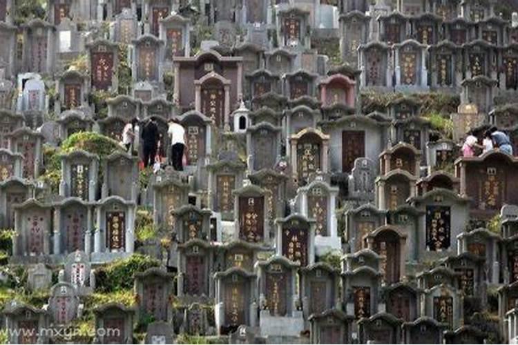 梦见坟地预示什么预兆？