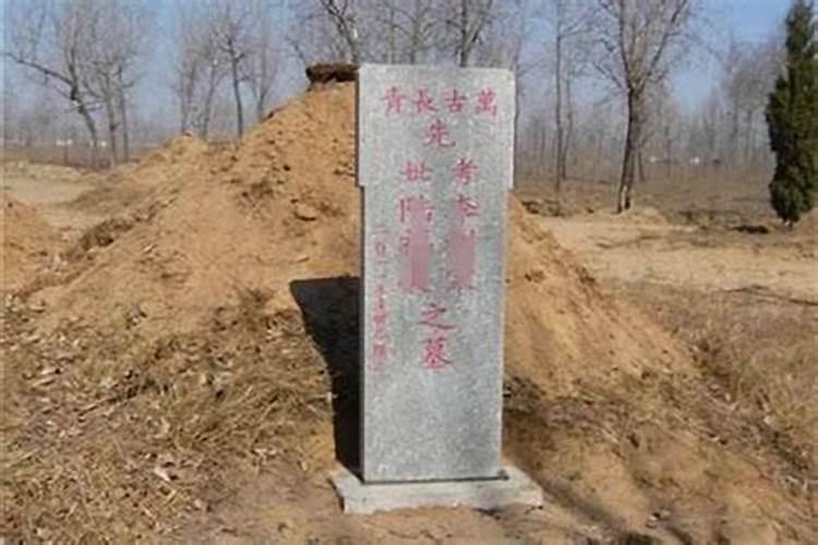 坟前最怕种什么树