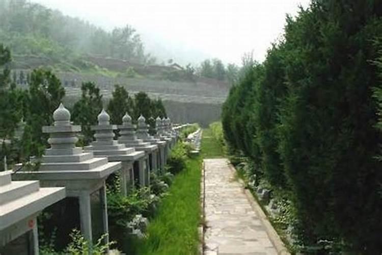 坟地种树有什么讲究