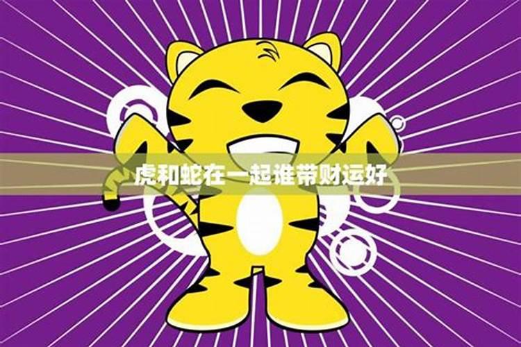 揭秘生肖虎的财富良缘：谁才是你的最佳财运拍档？