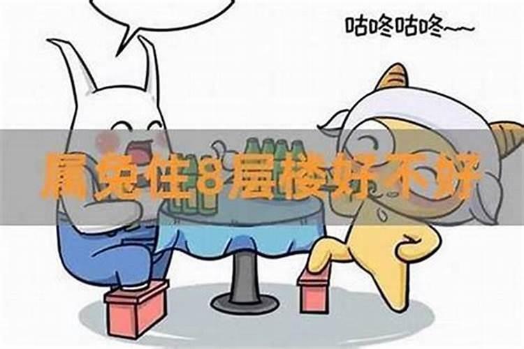 属虎的住几层楼最好？