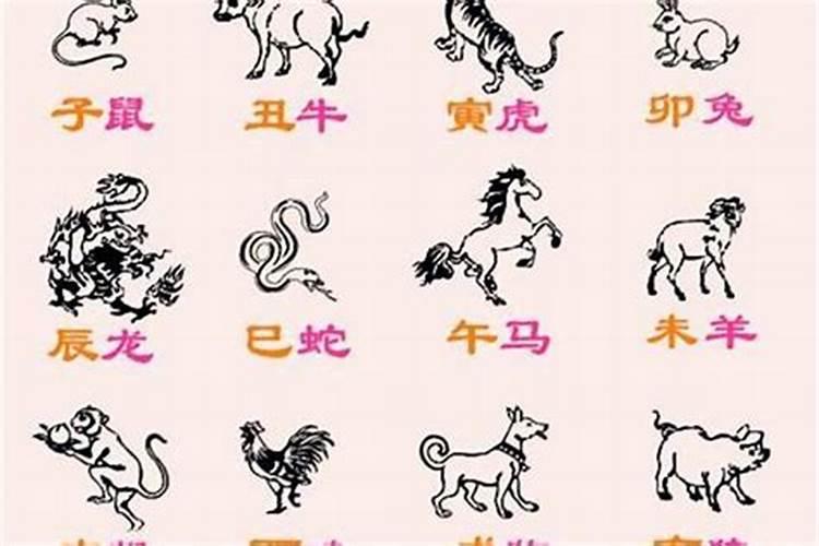 跨越时空的缘分：1979属羊女性的婚恋征途
