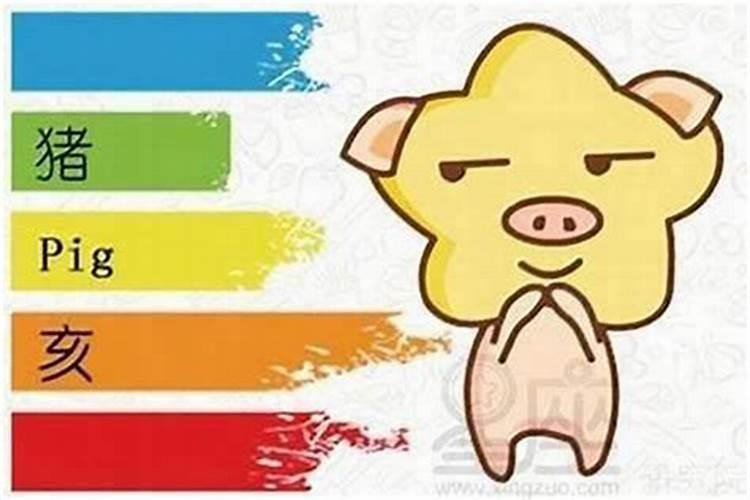 今天属猪的运气怎么样呀？