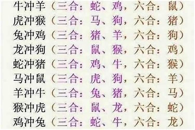 属相不合是什么意思？