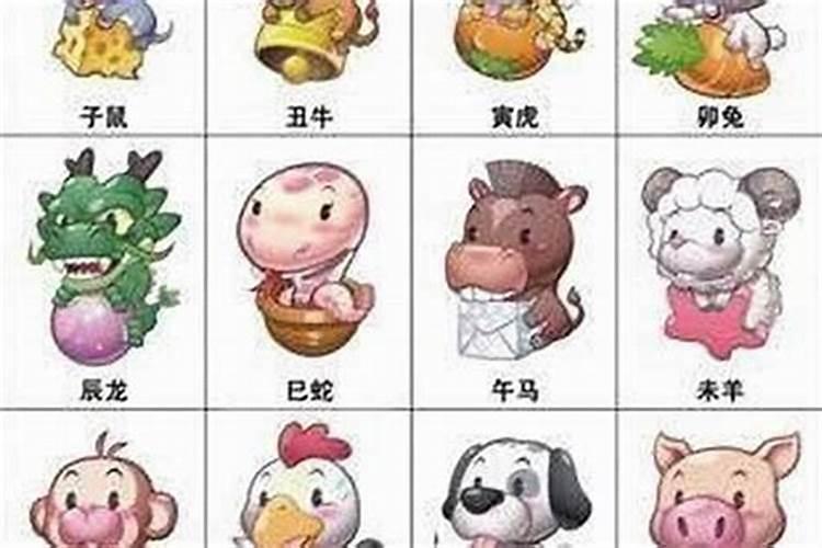 龙属相和什么属相最配对婚姻？